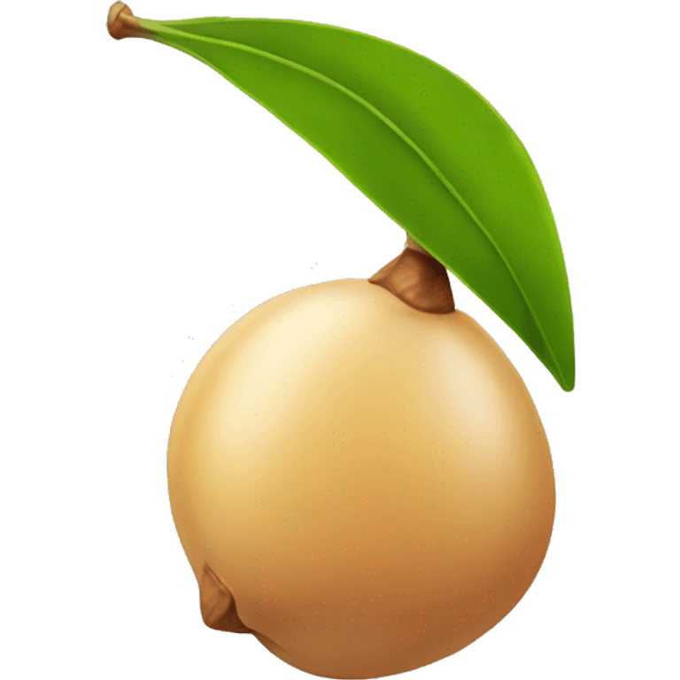 an argan fruit emoji