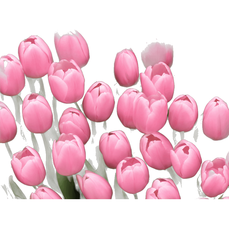 Baby pink tulips emoji