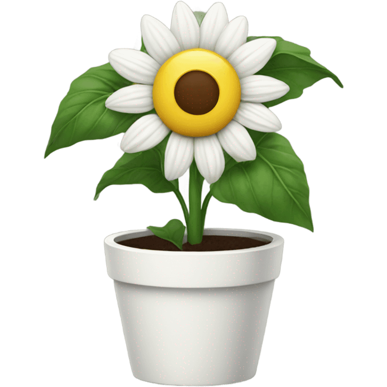 White sunflower in planter emoji