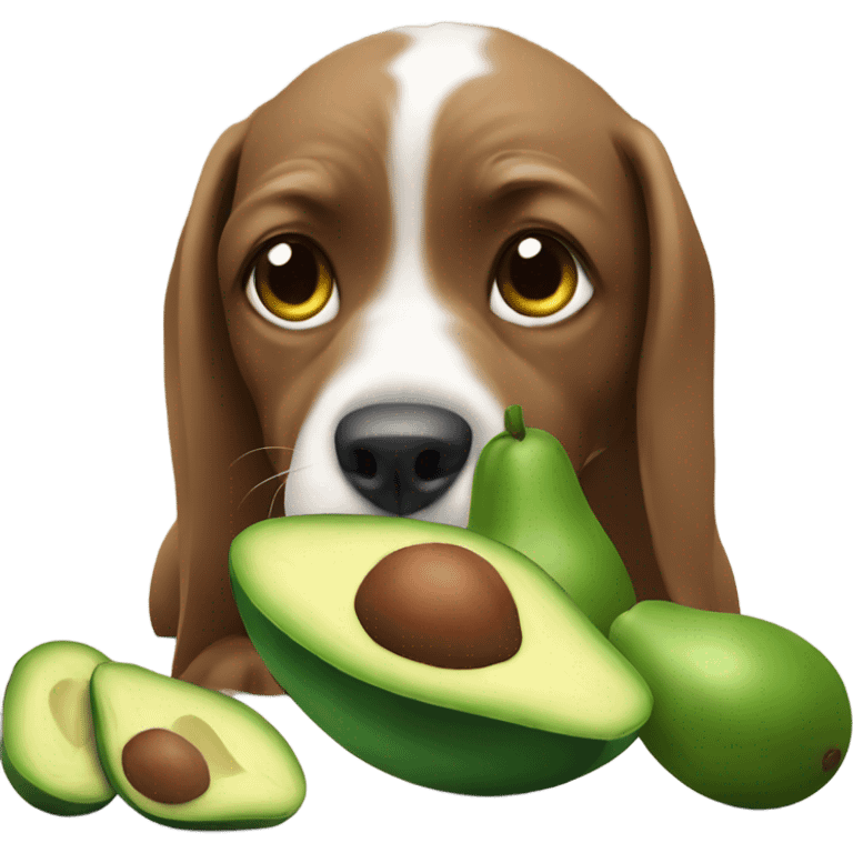 dog eating avocado emoji