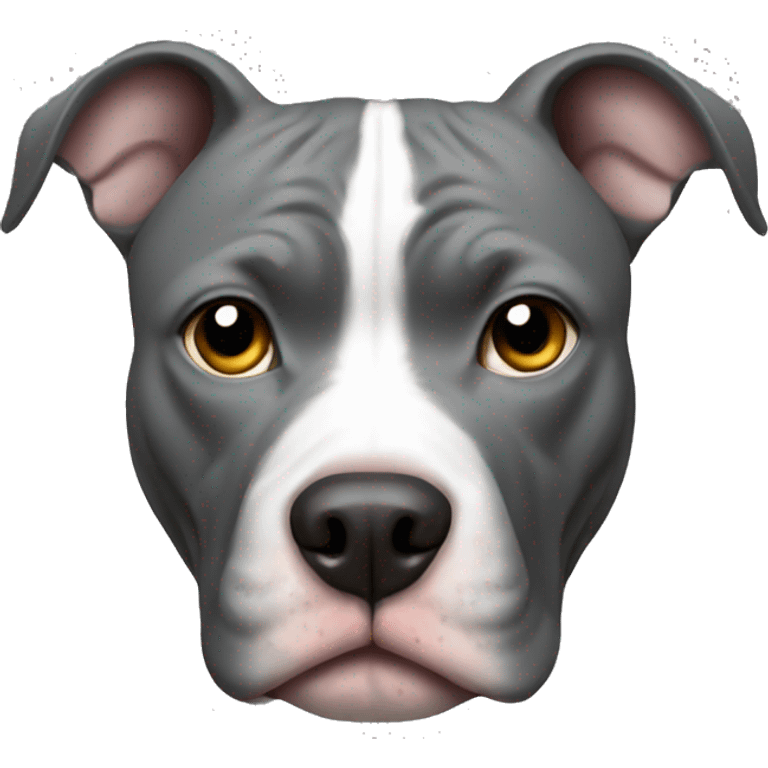 Pitbull grey  emoji