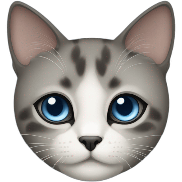 black face blue eye simaese cat emoji