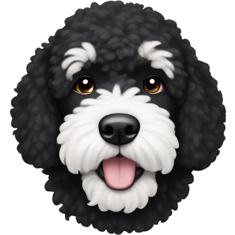 Black bernadoodle with white around mouth and big white eyebrows  emoji