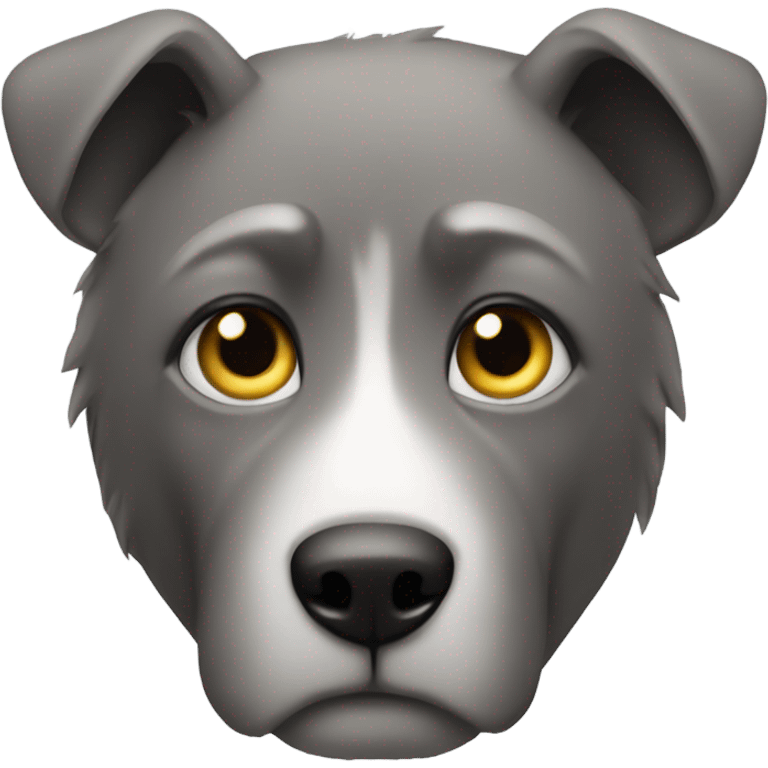 focused animal gaze on viewer grey emoji