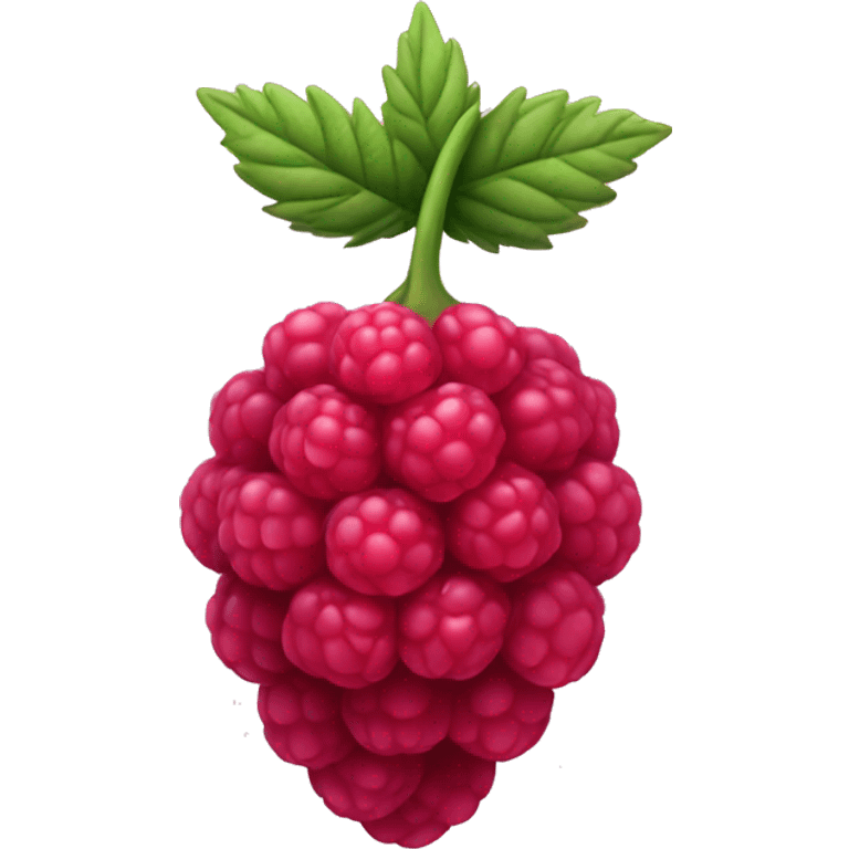 Raspberries  emoji