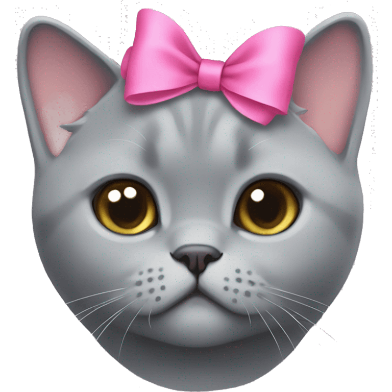 Grey british shorthair cute with a pink bow on her head emoji