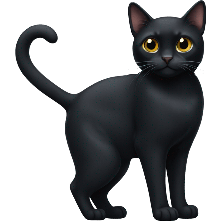 Bombay black cat with a small white spot on his chest emoji