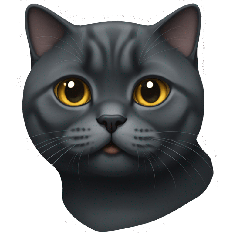 black British shorthair cat emoji