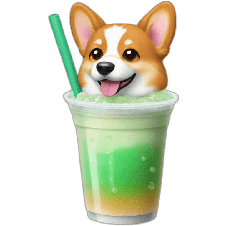 Corgi drink bubble tea emoji