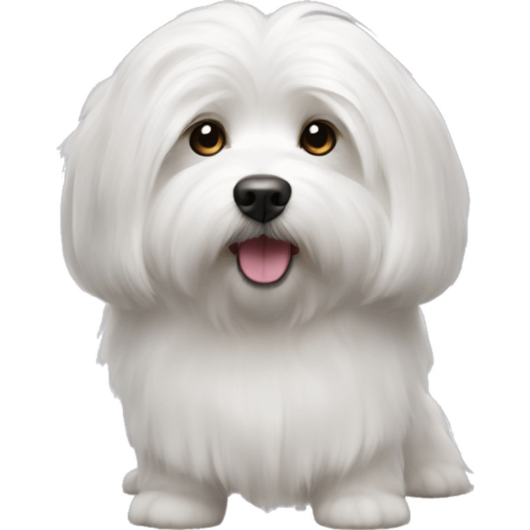 white long hair coton de tulear dog emoji