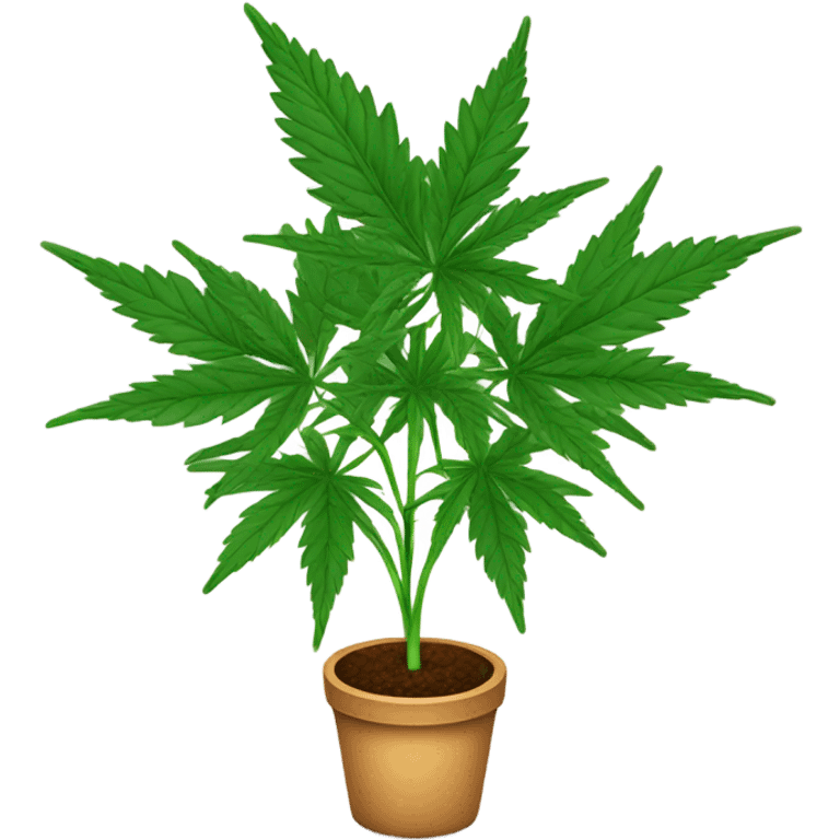  Potted Cannabis sativa tree emoji