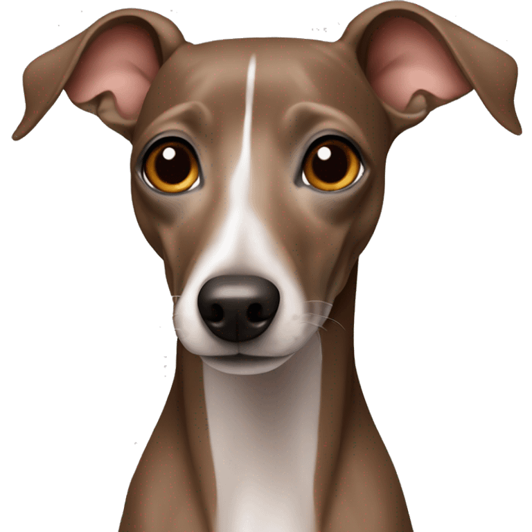 Just Brown Italian greyhound   emoji