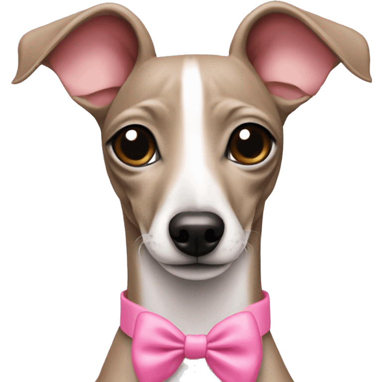 Italian greyhound with pink bow emoji