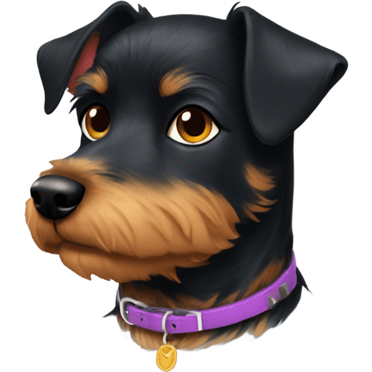 Black terrier dog with sunset collar named Remi emoji