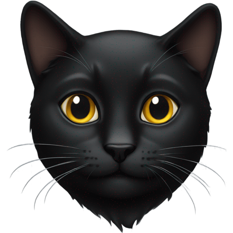 black cat emoji