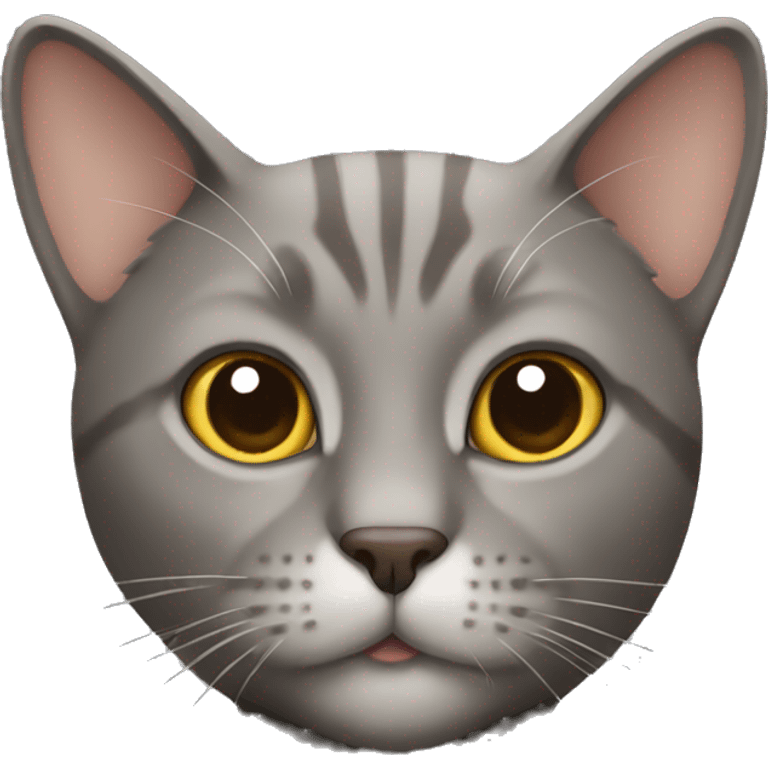 Gray brown cat  emoji