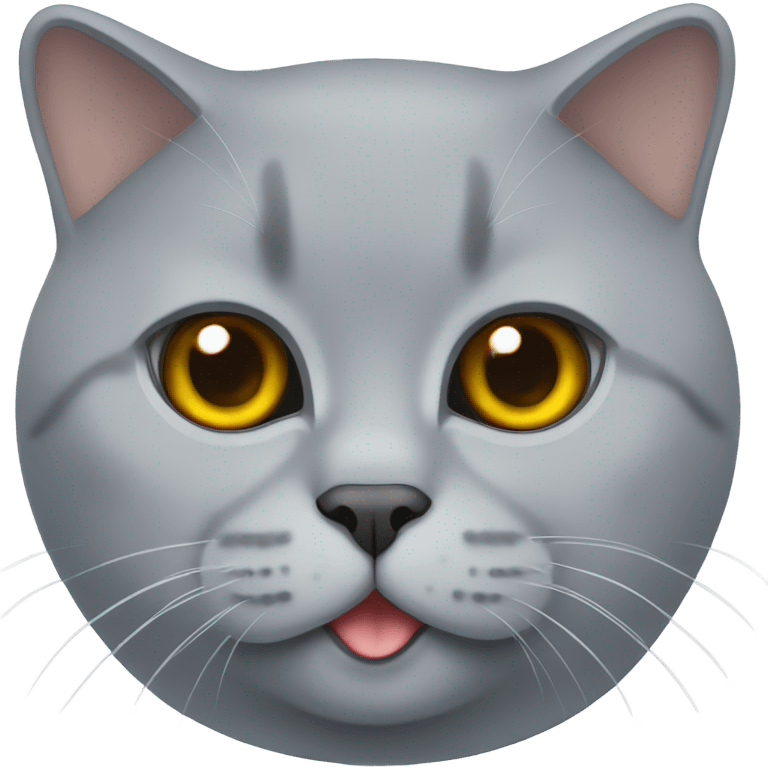 British shorthair emoji