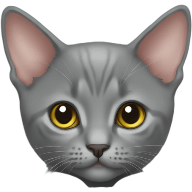 Korat kitten in bow tie emoji