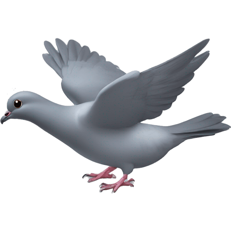 Pigeon dove emoji