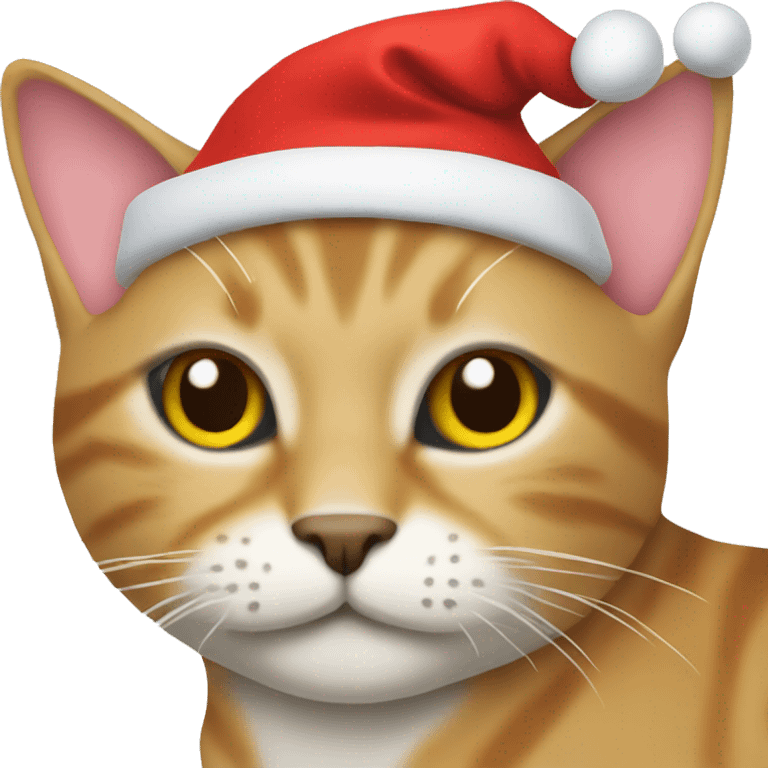 Cat with a santa hat emoji