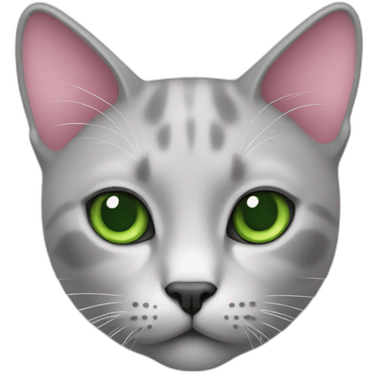 Cat-light-grey-with-green-eyes-pink-nose emoji