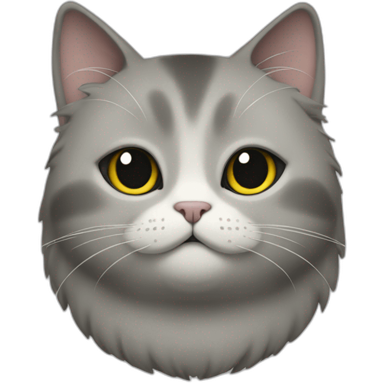 a round-faced cat with a grey beehive and no pattern all over emoji