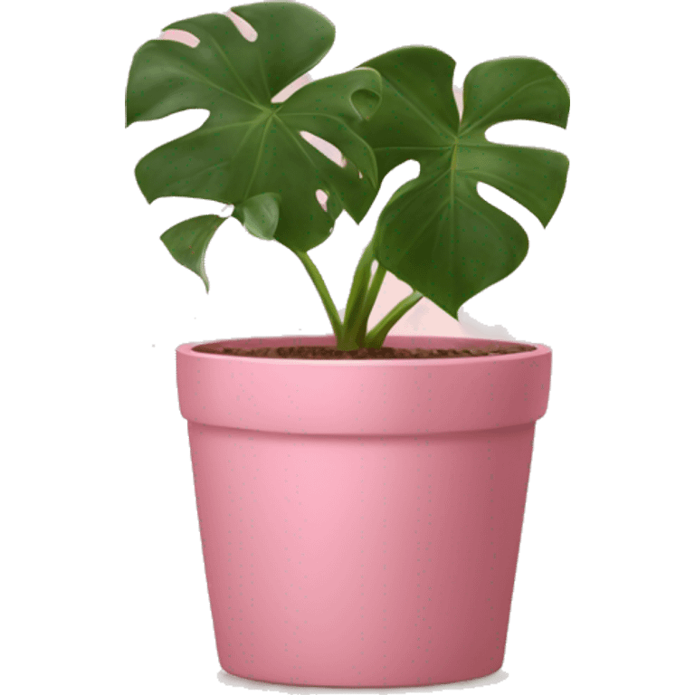 Philodendron pink princess  emoji