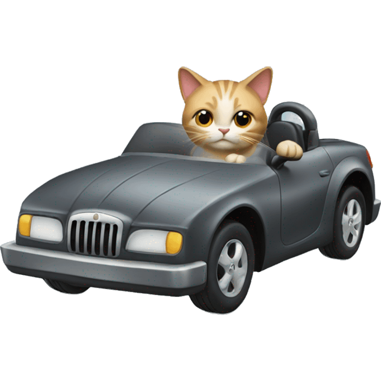 cat driving car emoji