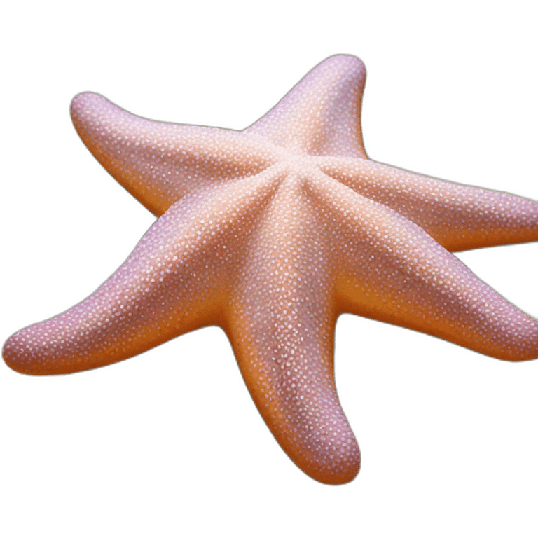 Starfish emoji