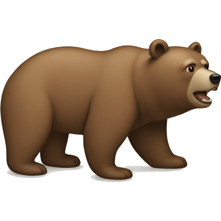 bear emoji