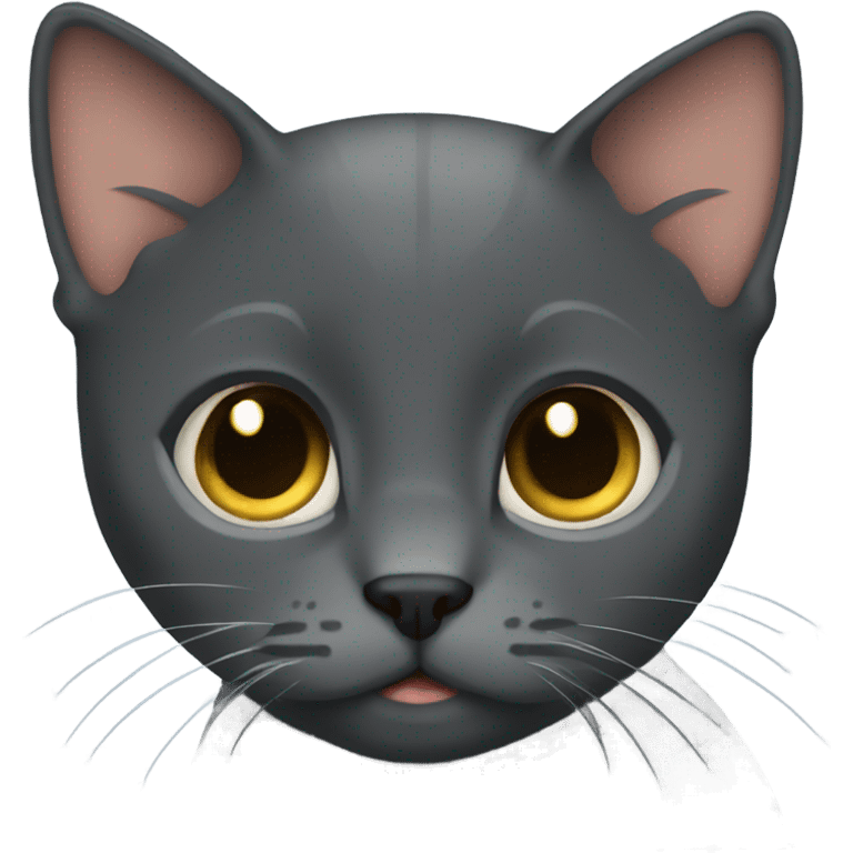 Dark gray short haired cat emoji