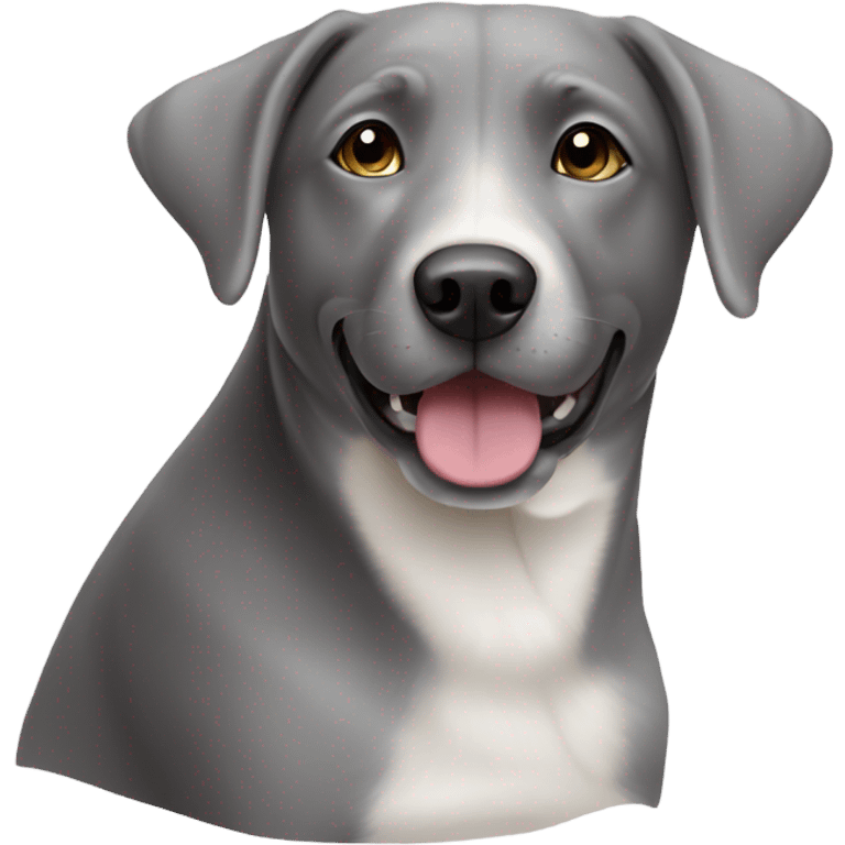 Grey and white lab mix dog emoji