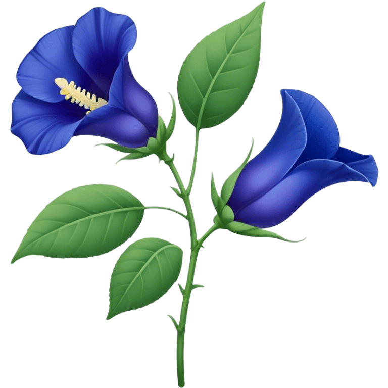 single Blue Butterfly Pea flower, stem, leaf emoji