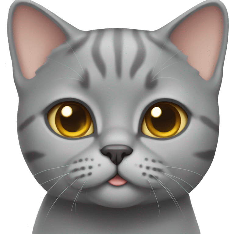 british shorthair cat emoji