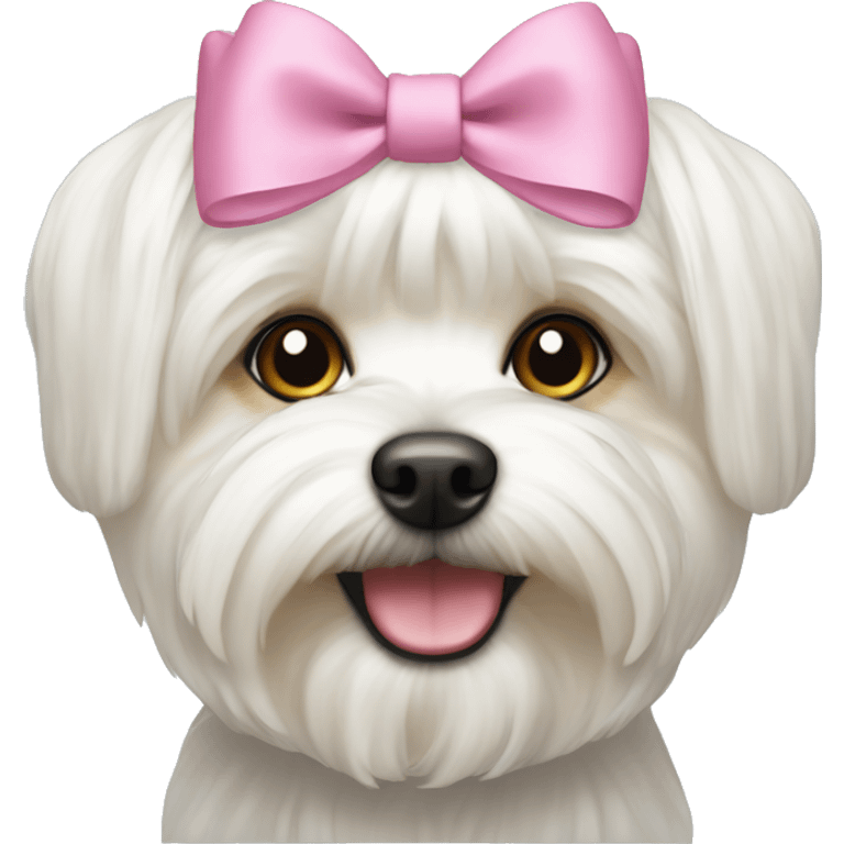 White morkie with bow on head emoji