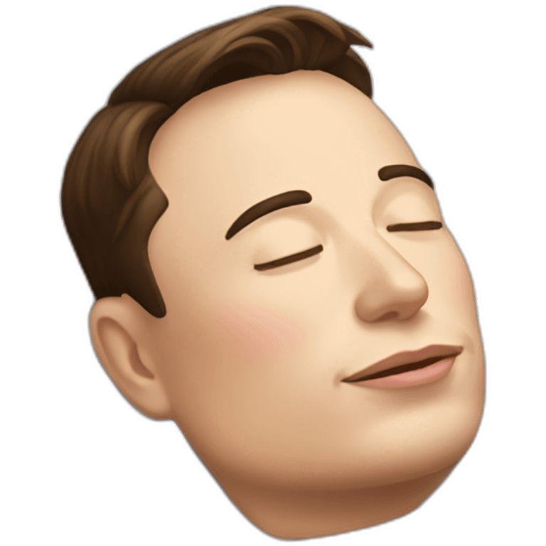 Elon musk sleep emoji