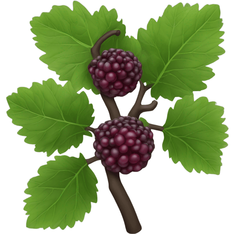 black mulberry emoji