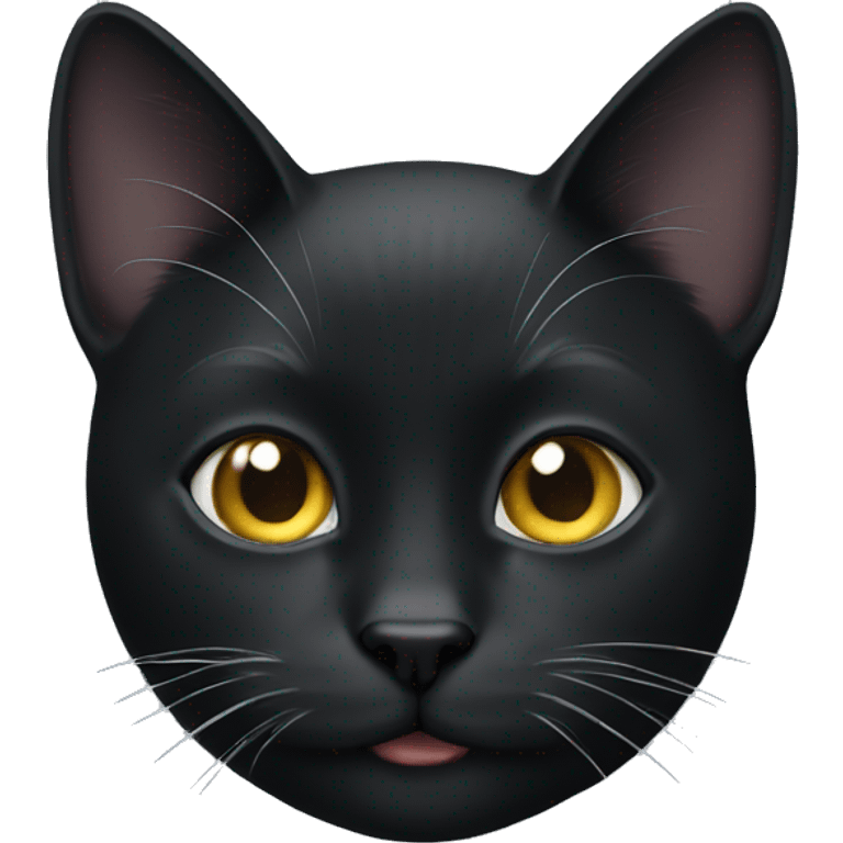 black cat with white spot emoji