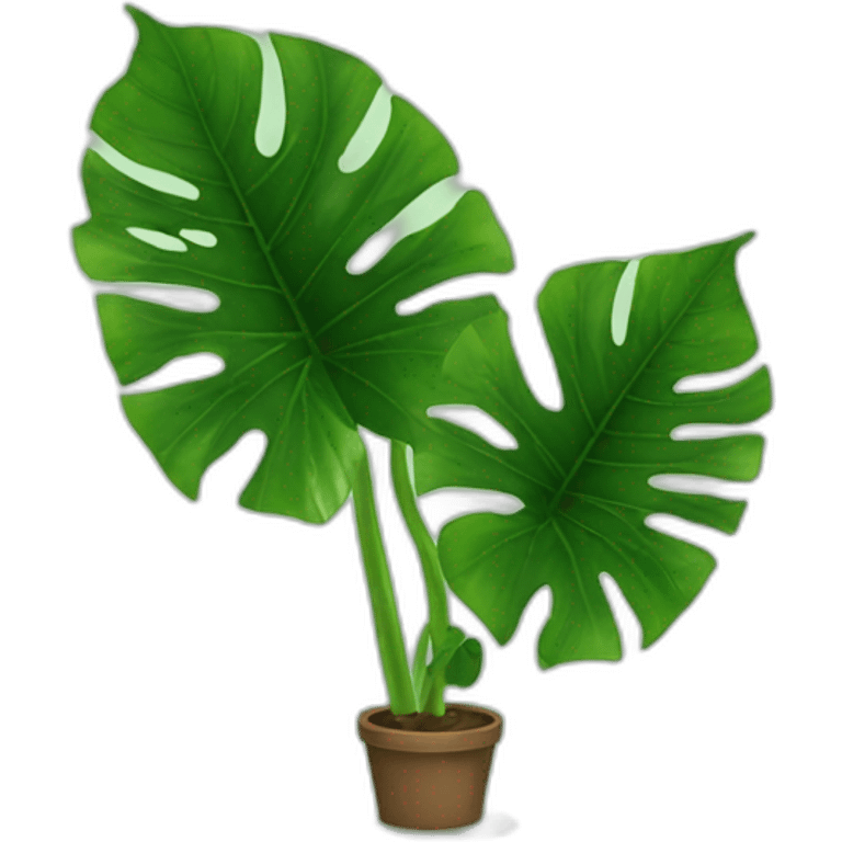 Alocasia emoji