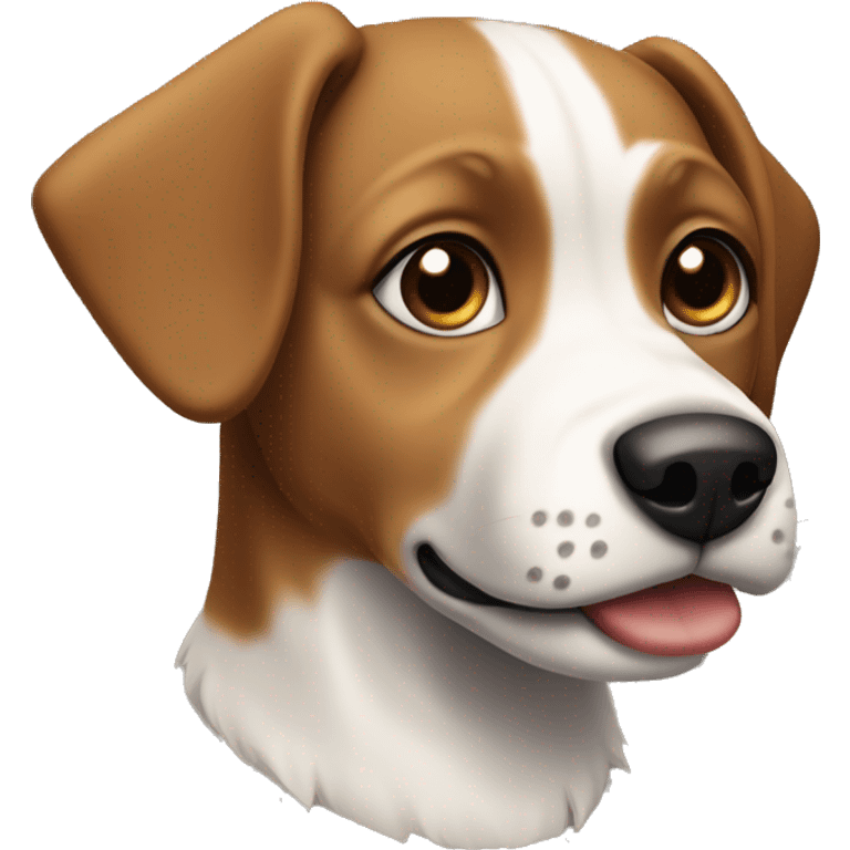 Small brown and white dog with short floppy ears and short snout and black collar emoji