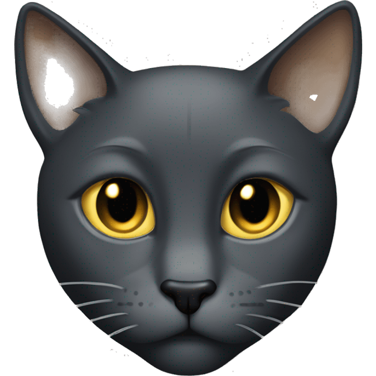 dark gray sleek Tom cat with gold eyes  emoji