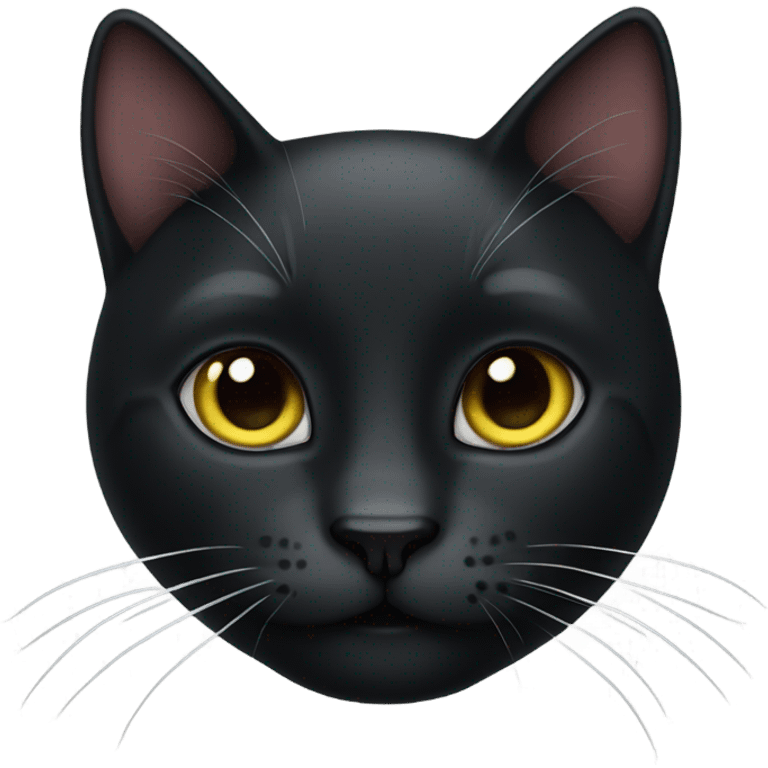 Wild black cat emoji