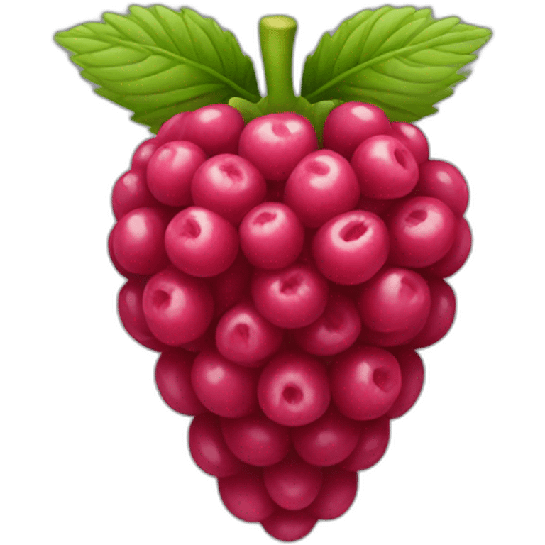 Raspberry emoji