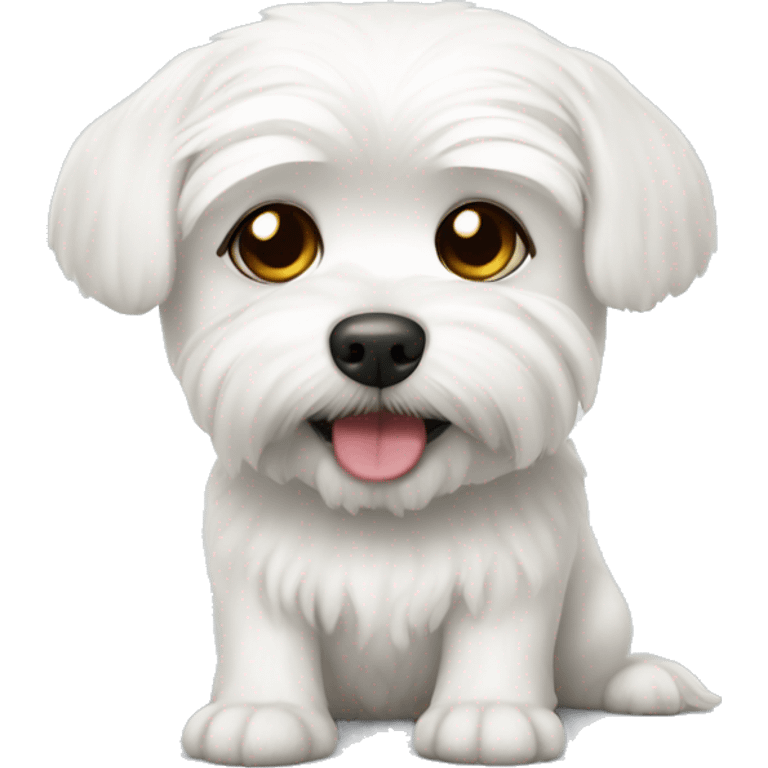 White dog Maltese  emoji