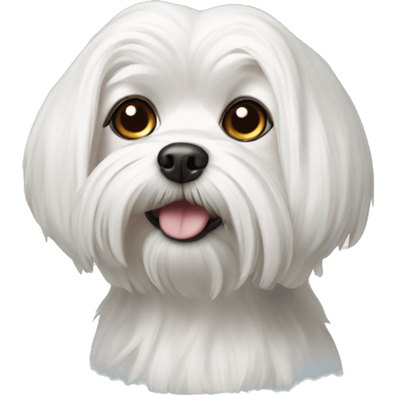 Realistic Maltese dog  emoji