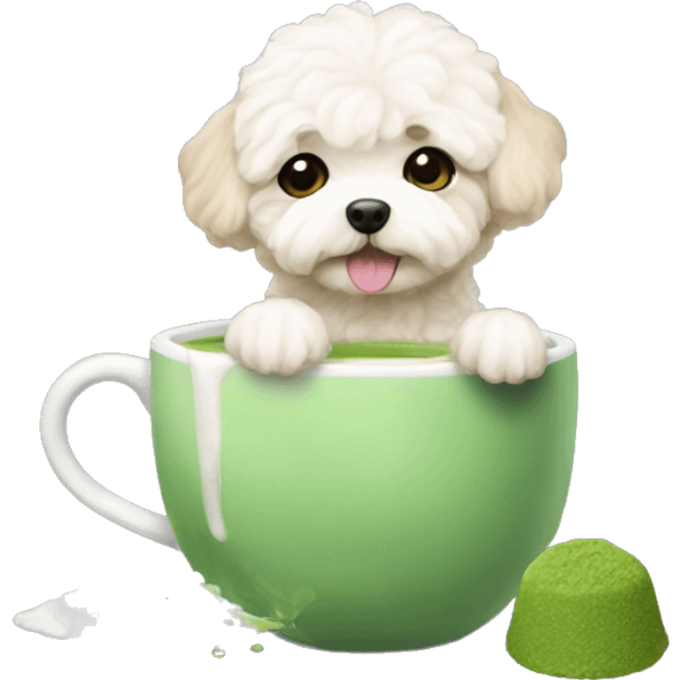 maltipoo drinking matcha emoji