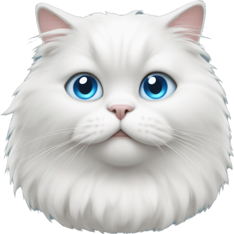 fat white fluffy cat with blue eyes emoji