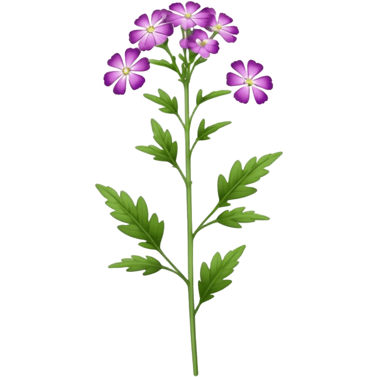 single Verbena flower, stem emoji