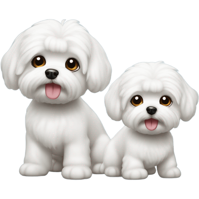 Two bichon maltese  emoji