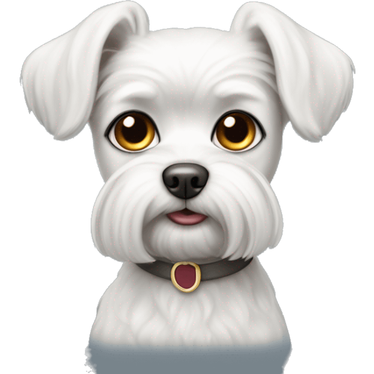 a small Maltese lapdog with long ears and a short-cropped muzzle emoji